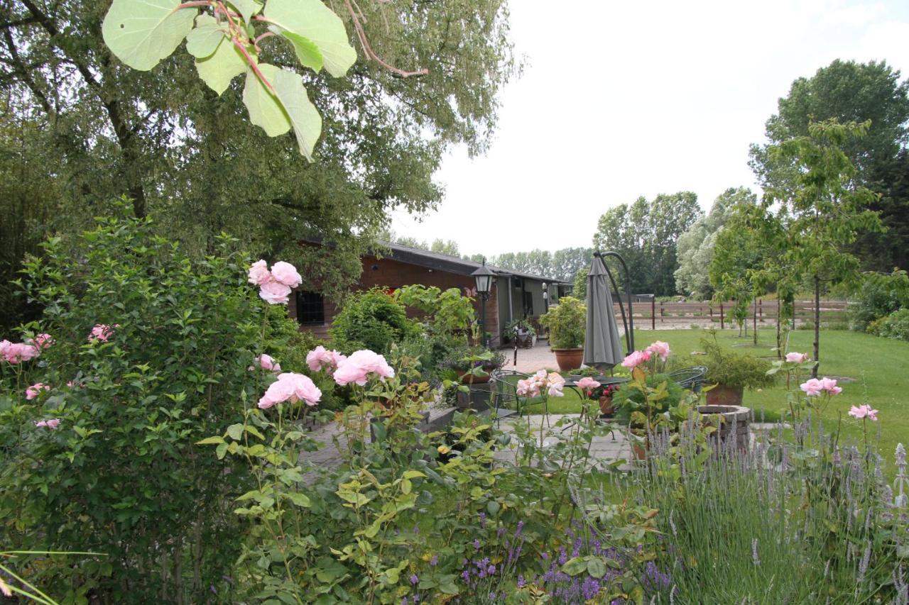 B&B De Rekkendonken Liempde ภายนอก รูปภาพ